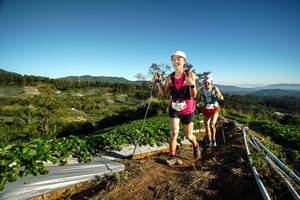 BIB: 
                            <button type="button" onclick="openModal(19115734)" class="btn btn-primary btn-sm float-right btn-popup" data-toggle="modal" data-target=".modal-high-quality">
                        <i class="fas fa-shopping-cart"></i> Add to Cart
                    </button>
                                            <button type="button" onclick="isThisMe(19115734, true)" class="btn btn-success btn-sm float-right btn-popup btn-isme hidden" data-toggle="tooltip" data-placement="bottom" title="นี่คือรูปของคุณใช่ไหม คลิกที่นี่เพื่อเอาเข้าอัลบั้ม">
                        <i class="fas fa-plus"></i> Add to album
                    </button>
                    <button type="button" onclick="isThisMe(19115734, false)" class="btn btn-warning btn-sm float-right btn-popup btn-isnotme hidden">
                        <i class="fas fa-ban"></i> Remove from album
                    </button>